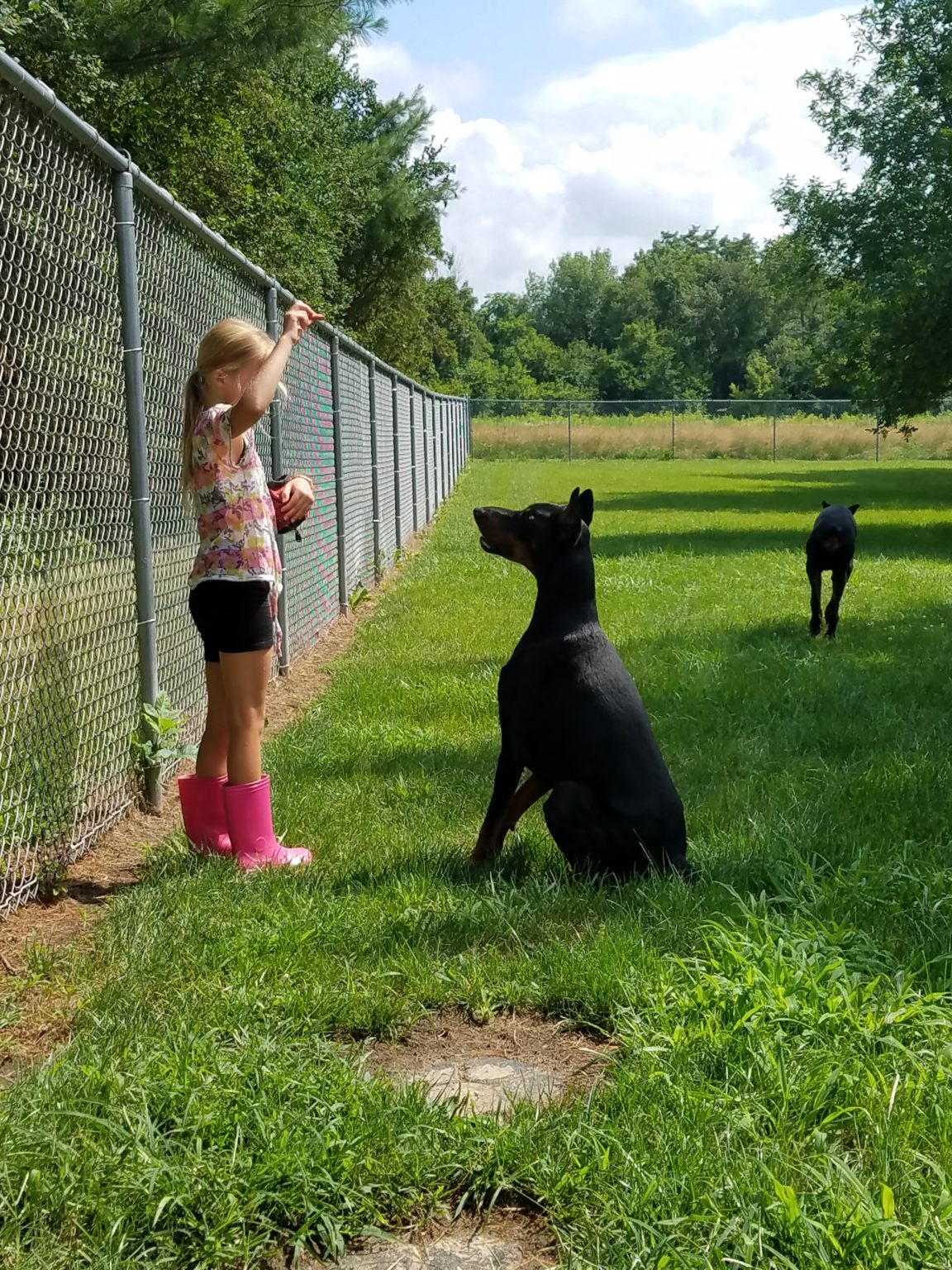 Beds and Biscuits LLC Dog Boarding Kennel Central City, Iowa